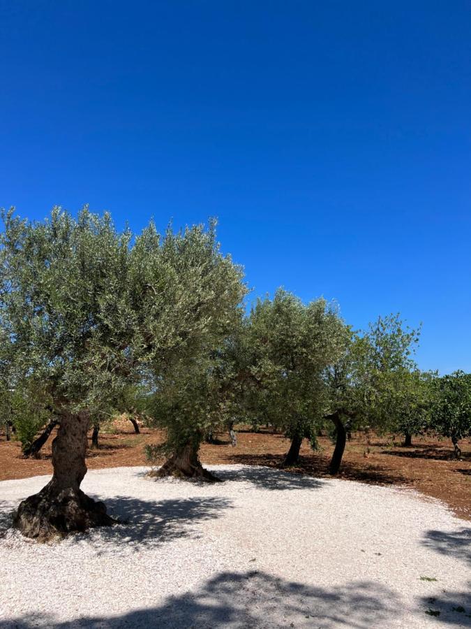 Апартаменты Masseria Concorrano Кастеллана-Гротте Экстерьер фото